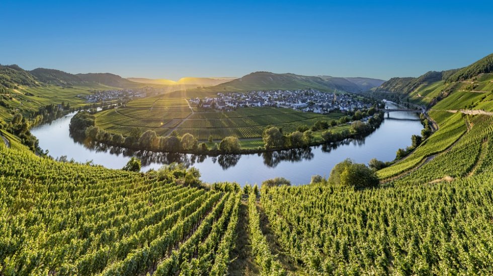 The Wine Route (Weinstraße)